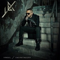 Encantadora | Version Cumbia | (Remix) Yandel - aLeeDj