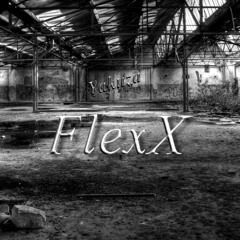 Wortfeind Feat FlexX - Stillschweigend