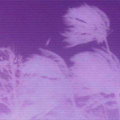ミスティ思考