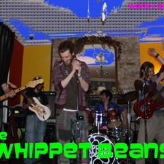 Scrimshaw - the whippet beans