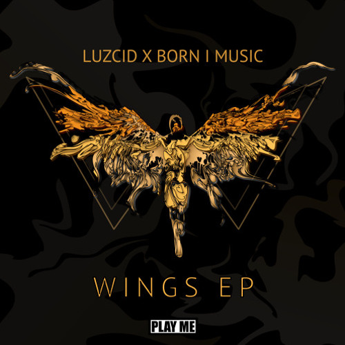 LUZCID & Born I Music - Home