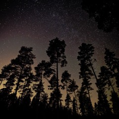 Stars Alone -- Christina Brice Dolanc 2016