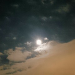 Midnight birdsong at Mauerpark