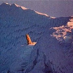 Wingspan Like 6ft prod. Trip Dixon