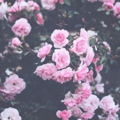 Sad Playlist