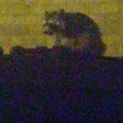 Feelin' Like An Ant (But I Like Ants)