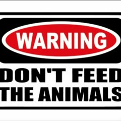 HACHEE---DON'T FEED DA ANIMALZZZ.L.mp3