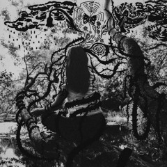 Things I Did Instead