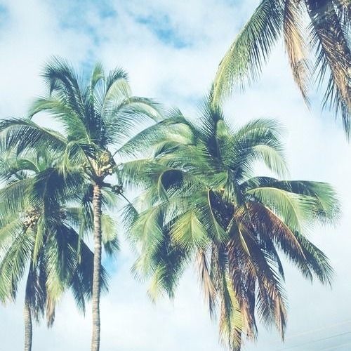 Drop_Lets