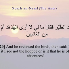 وَتَفَقَّدَ الطَّيْرَ فَقَالَ مَا لِيَ لَا أَرَى الْهُدْهُدَ || اللهم انصر اهل الشام