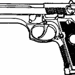 Dodging Bullets2007(Introspection)