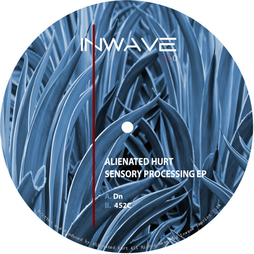 425C / Dn (INWDIG027)(cut)