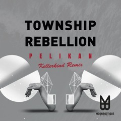 Township Rebellion - Pelikan (Kellerkind Remix) Snippet