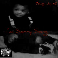 I'm Sorry song (Prod Honchobeatzmusic)