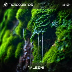 Yaleeni - Microcosmos Chillout & Ambient Podcast 042