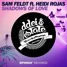 Shadows Of Love (ft. Heidi Rojas)