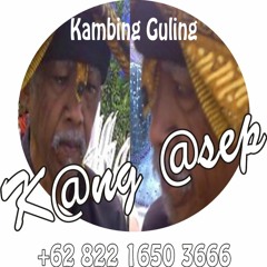 DEGUNG BALI Gambelan