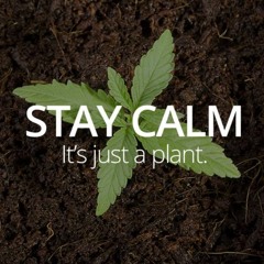 PsyTrance Set Live 2016 Alen Chernick