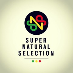 Super Natural Selection - King Of Kings - Dub Minor Remix