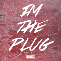 PLUG BY SWELL