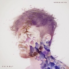 Never Be Like You (Flume Cover)