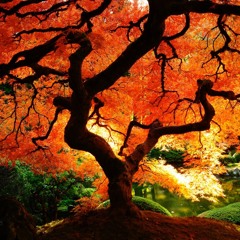 Equinox (Instrumental version)