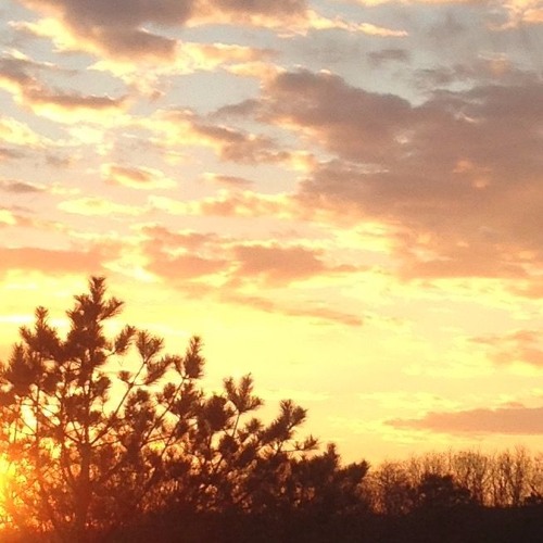 efflorescence w/ ja burd