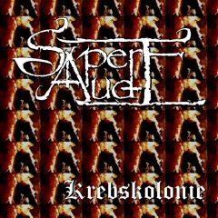Sapere Aude - Krebskolonie (Eisregen Cover)2016