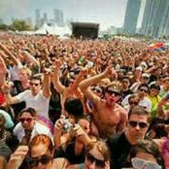 Edm festival-The viking.mp3