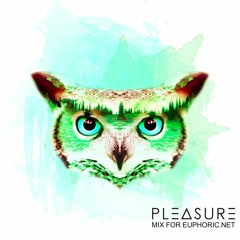 PLEASURE - Euphoric Dot Net Mix