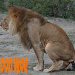 Don Woe - Im Da Shit (Prod By TrellGotWings)