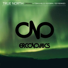 Erconomics - True North (501 Remix)