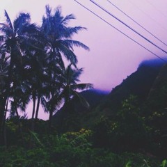 I Miss Nothing