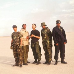 BTNH - Thuggish Ruggish Bone (remix)