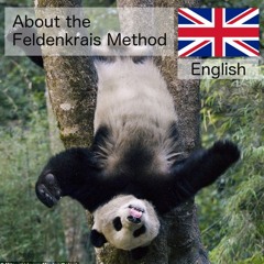 About the Feldenkrais Method – English