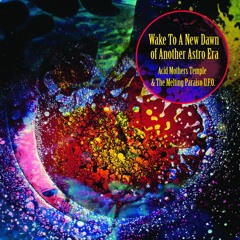 Acid Mothers Temple & Melting Paraiso U.F.O. Nebulous Hyper Meditation from Another Astro Era CD/2LP