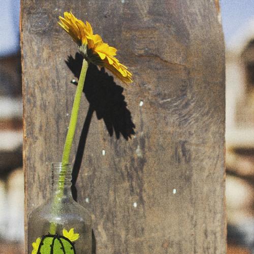 Này anh ơi ! - ( Hát lại của Tùng )