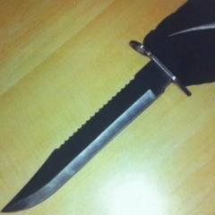 R1 x KK x IK - Lowe D Chat