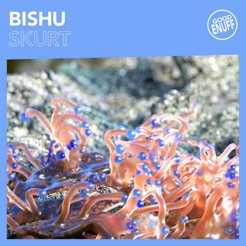 Bishu - Skurt