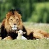 Free Music Downloads First And Last Productions He Is King Mp3