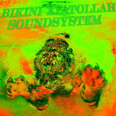 Bikini Ayatollah Soundsystem - Hole Up Your Ground (Radio Edit)