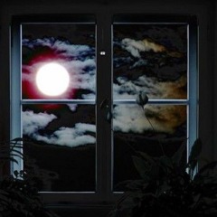 Where The Moon Goes