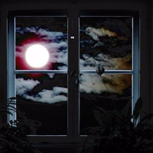 Where The Moon Goes