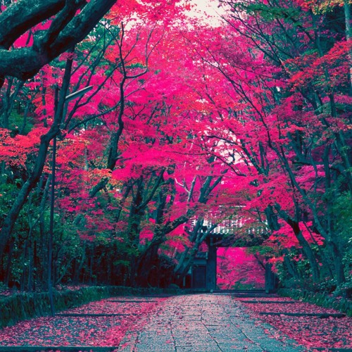 Kyoto