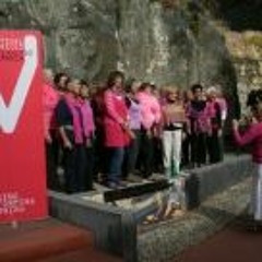 Steer (Nourish Women's Choir)