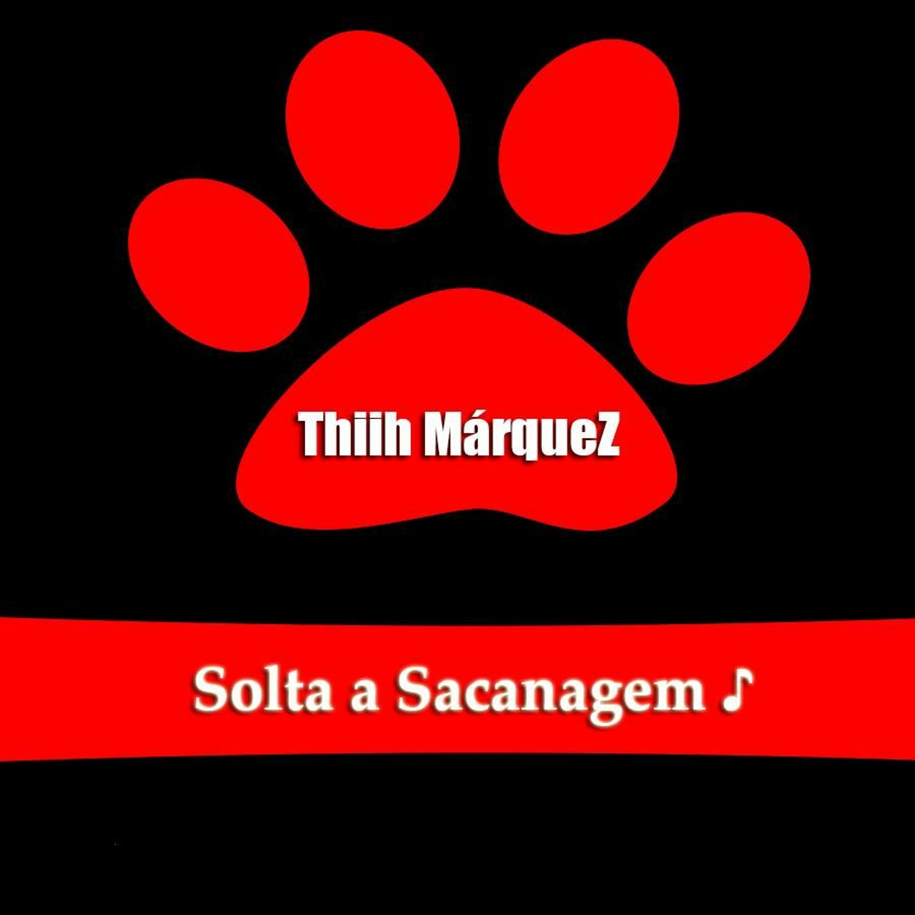 DJ Thi MarqueZ ♪