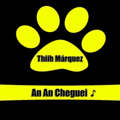 MC MAGRINHO - AN AN CHEGUEI ((THIIH MARQUEZ))