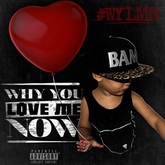 BAM - Why You Love Me Now "W.Y.L.M.N"