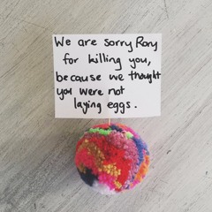 We are sorry Rory for killing you, because we thought you were not laying eggs.