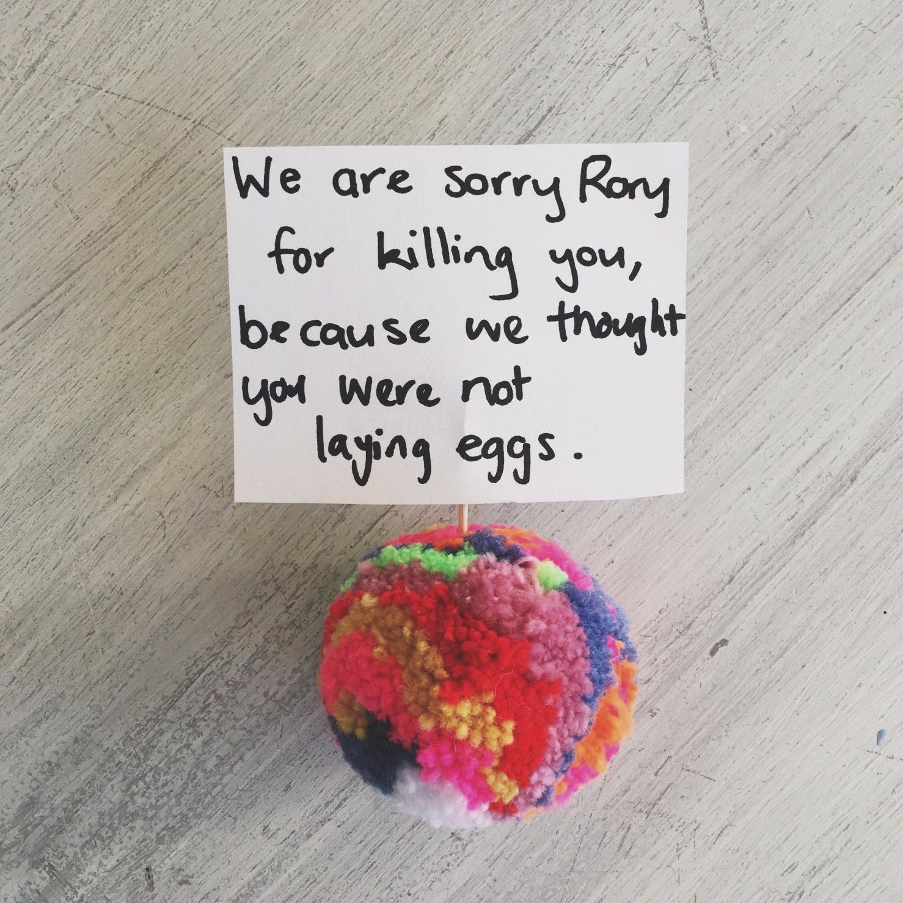 We are sorry Rory for killing you, because we thought you were not laying eggs. episode artwork